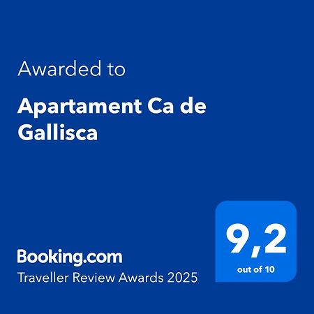 Apartament Ca De Gallisca Pla de l'Ermita Εξωτερικό φωτογραφία